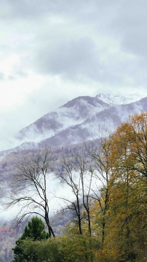 Paysage brumeux de montagnes et forêt dans les Pyrénées lors d'une session de repérage pour un tournage documentaire gcom.